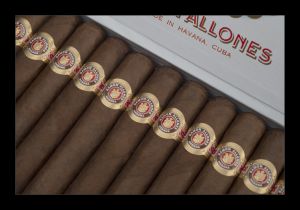 ALLONES 25 SPECIALLY SELECTED_15